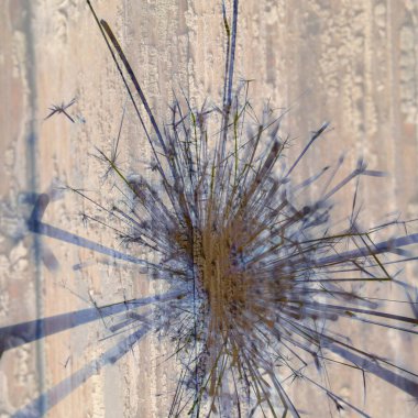 Soyut arka plan kalıpları, kutlama duvar kağıtları, sunum slaytları kapakları. Canlı renk dokusu, şenlikli duvar kağıdı