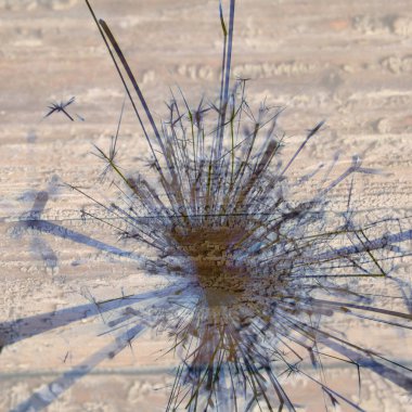 Soyut arka plan kalıpları, kutlama duvar kağıtları, sunum slaytları kapakları. Canlı renk dokusu, şenlikli duvar kağıdı