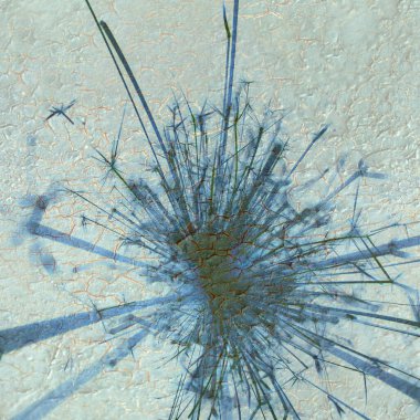 Soyut arka plan kalıpları, kutlama duvar kağıtları, sunum slaytları kapakları. Canlı renk dokusu, şenlikli duvar kağıdı