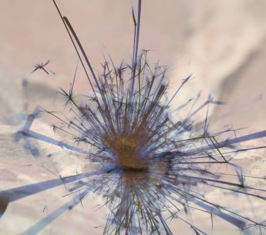 Soyut arka plan kalıpları, kutlama duvar kağıtları, sunum slaytları kapakları. Canlı renk dokusu, şenlikli duvar kağıdı