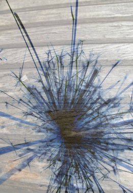 Soyut arka plan kalıpları, kutlama duvar kağıtları, sunum slaytları kapakları. Canlı renk dokusu, şenlikli duvar kağıdı