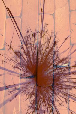 Soyut arka plan kalıpları, kutlama duvar kağıtları, sunum slaytları kapakları. Canlı renk dokusu, şenlikli duvar kağıdı