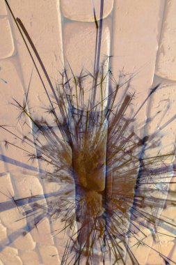 Soyut arka plan kalıpları, kutlama duvar kağıtları, sunum slaytları kapakları. Canlı renk dokusu, şenlikli duvar kağıdı