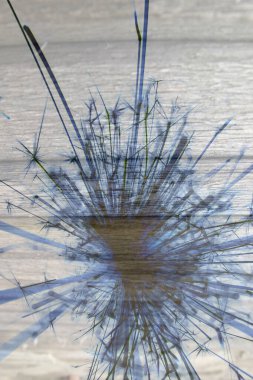 Soyut arka plan kalıpları, kutlama duvar kağıtları, sunum slaytları kapakları. Canlı renk dokusu, şenlikli duvar kağıdı