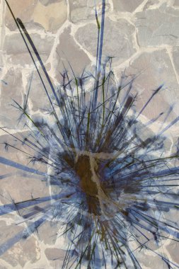 Soyut arka plan kalıpları, kutlama duvar kağıtları, sunum slaytları kapakları. Canlı renk dokusu, şenlikli duvar kağıdı