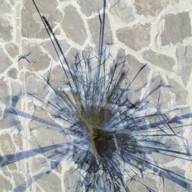 Soyut arka plan kalıpları, kutlama duvar kağıtları, sunum slaytları kapakları. Canlı renk dokusu, şenlikli duvar kağıdı