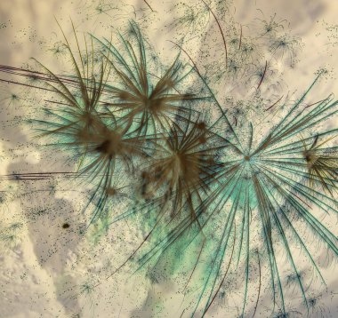 Soyut arka plan kalıpları, kutlama duvar kağıtları, sunum slaytları kapakları. Canlı renk dokusu, şenlikli duvar kağıdı