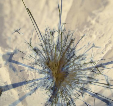 Soyut arka plan kalıpları, kutlama duvar kağıtları, sunum slaytları kapakları. Canlı renk dokusu, şenlikli duvar kağıdı