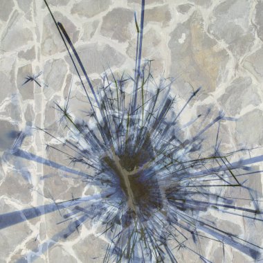 Soyut arka plan kalıpları, kutlama duvar kağıtları, sunum slaytları kapakları. Canlı renk dokusu, şenlikli duvar kağıdı