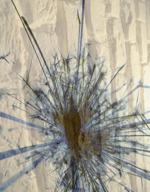 Soyut arka plan kalıpları, kutlama duvar kağıtları, sunum slaytları kapakları. Canlı renk dokusu, şenlikli duvar kağıdı