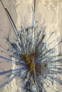 Soyut arka plan kalıpları, kutlama duvar kağıtları, sunum slaytları kapakları. Canlı renk dokusu, şenlikli duvar kağıdı