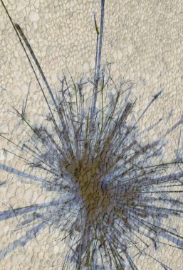 Soyut arka plan kalıpları, kutlama duvar kağıtları, sunum slaytları kapakları. Canlı renk dokusu, şenlikli duvar kağıdı