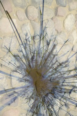 Soyut arka plan kalıpları, kutlama duvar kağıtları, sunum slaytları kapakları. Canlı renk dokusu, şenlikli duvar kağıdı