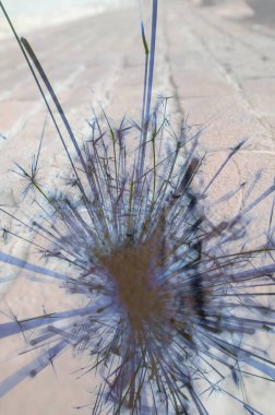 Soyut arka plan kalıpları, kutlama duvar kağıtları, sunum slaytları kapakları. Canlı renk dokusu, şenlikli duvar kağıdı