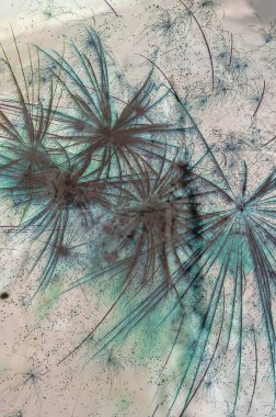 Soyut arka plan kalıpları, kutlama duvar kağıtları, sunum slaytları kapakları. Canlı renk dokusu, şenlikli duvar kağıdı