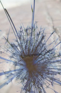 Soyut arka plan kalıpları, kutlama duvar kağıtları, sunum slaytları kapakları. Canlı renk dokusu, şenlikli duvar kağıdı