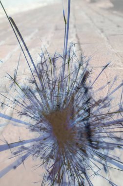 Soyut arka plan kalıpları, kutlama duvar kağıtları, sunum slaytları kapakları. Canlı renk dokusu, şenlikli duvar kağıdı