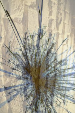 Soyut arka plan kalıpları, kutlama duvar kağıtları, sunum slaytları kapakları. Canlı renk dokusu, şenlikli duvar kağıdı