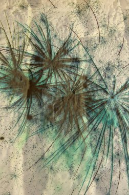 Soyut arka plan kalıpları, kutlama duvar kağıtları, sunum slaytları kapakları. Canlı renk dokusu, şenlikli duvar kağıdı