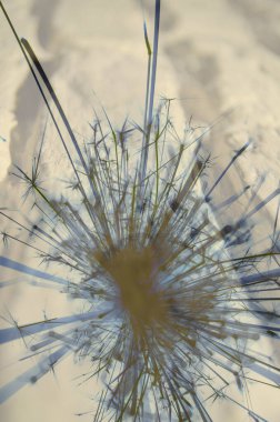 Soyut arka plan kalıpları, kutlama duvar kağıtları, sunum slaytları kapakları. Canlı renk dokusu, şenlikli duvar kağıdı