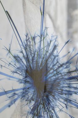 Soyut arka plan kalıpları, kutlama duvar kağıtları, sunum slaytları kapakları. Canlı renk dokusu, şenlikli duvar kağıdı