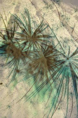 Soyut arka plan kalıpları, kutlama duvar kağıtları, sunum slaytları kapakları. Canlı renk dokusu, şenlikli duvar kağıdı