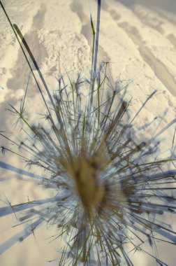 Soyut arka plan kalıpları, kutlama duvar kağıtları, sunum slaytları kapakları. Canlı renk dokusu, şenlikli duvar kağıdı