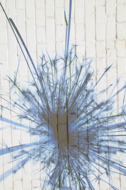 Soyut arka plan kalıpları, kutlama duvar kağıtları, sunum slaytları kapakları. Canlı renk dokusu, şenlikli duvar kağıdı