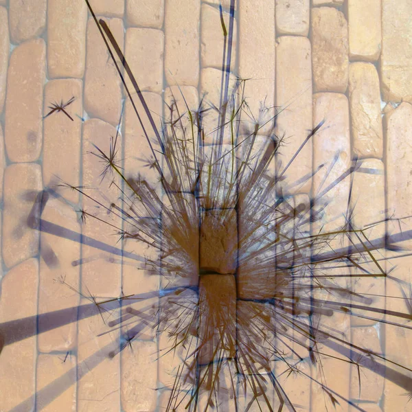 Soyut arka plan kalıpları, kutlama duvar kağıtları, sunum slaytları kapakları. Canlı renk dokusu, şenlikli duvar kağıdı