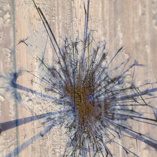 Soyut arka plan kalıpları, kutlama duvar kağıtları, sunum slaytları kapakları. Canlı renk dokusu, şenlikli duvar kağıdı