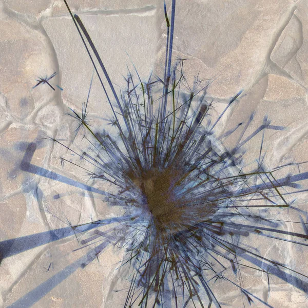 Soyut arka plan kalıpları, kutlama duvar kağıtları, sunum slaytları kapakları. Canlı renk dokusu, şenlikli duvar kağıdı