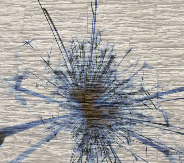 Soyut arka plan kalıpları, kutlama duvar kağıtları, sunum slaytları kapakları. Canlı renk dokusu, şenlikli duvar kağıdı