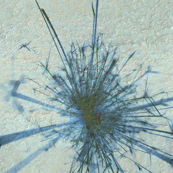 Soyut arka plan kalıpları, kutlama duvar kağıtları, sunum slaytları kapakları. Canlı renk dokusu, şenlikli duvar kağıdı