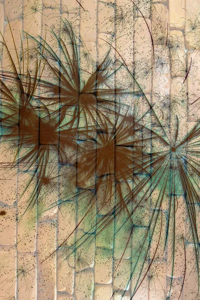 Soyut arka plan kalıpları, kutlama duvar kağıtları, sunum slaytları kapakları. Canlı renk dokusu, şenlikli duvar kağıdı