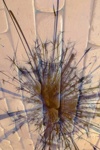 Soyut arka plan kalıpları, kutlama duvar kağıtları, sunum slaytları kapakları. Canlı renk dokusu, şenlikli duvar kağıdı