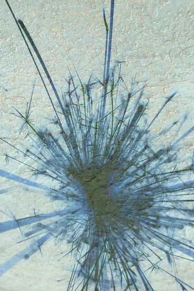 Soyut arka plan kalıpları, kutlama duvar kağıtları, sunum slaytları kapakları. Canlı renk dokusu, şenlikli duvar kağıdı