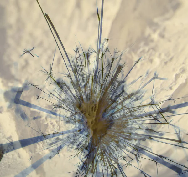 Soyut arka plan kalıpları, kutlama duvar kağıtları, sunum slaytları kapakları. Canlı renk dokusu, şenlikli duvar kağıdı