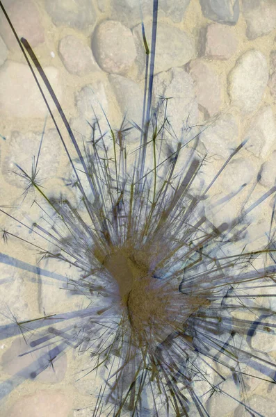 Soyut arka plan kalıpları, kutlama duvar kağıtları, sunum slaytları kapakları. Canlı renk dokusu, şenlikli duvar kağıdı