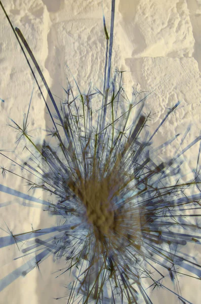 Soyut arka plan kalıpları, kutlama duvar kağıtları, sunum slaytları kapakları. Canlı renk dokusu, şenlikli duvar kağıdı