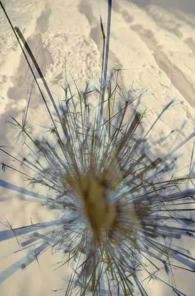 Soyut arka plan kalıpları, kutlama duvar kağıtları, sunum slaytları kapakları. Canlı renk dokusu, şenlikli duvar kağıdı