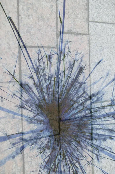 Soyut arka plan kalıpları, kutlama duvar kağıtları, sunum slaytları kapakları. Canlı renk dokusu, şenlikli duvar kağıdı