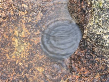 Asfalt Yolu yüzeyindeki su birikintisi