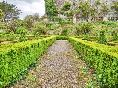 Bahçedeki eski taş ev.