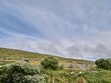 Küçük bir evi olan yeşil bir arazinin güzel manzarası.