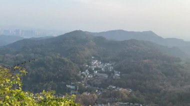 Yuvarlanan dağlara bakan geniş panoramik manzara ve Çin 'in kırsal kesimindeki tepeden bakan yeşil çay tarlaları..