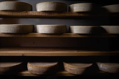 Peynirin yuvarlak tekerlekleri, antika bir dağ mandırasının ahşap raflarında yaşlanıyor. Peynirler doğal kalıpları gösteriyor, bu da geleneksel zanaat üretiminin bir göstergesi. Raflar sağlam, yıllanmış ahşaptan yapılmış. Peynir olgunlaşması için ideal..