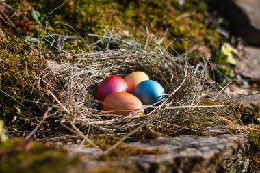 Samandan yapılmış bir yuva yosunlu bir yüzeyde uzanır, kırmızı, sarı, mavi ve turuncu renkte dört renkli Paskalya yumurtası tutar. Baharda yumurta avına ve geleneksel kutlamalara benziyor..