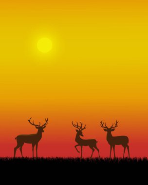 Üç siluetli geyiğin canlı turuncu gökyüzüne karşı çimlerin üzerinde durduğu huzurlu bir günbatımı sahnesi..