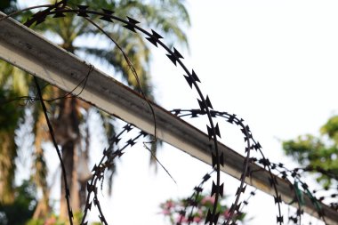 Ustura teli ya da dikenli bant, keskin kenarlı metal şeritler, demir parmaklıklara monte edilmiş, insanların izinsiz girmesini önlemek için kullanılır..