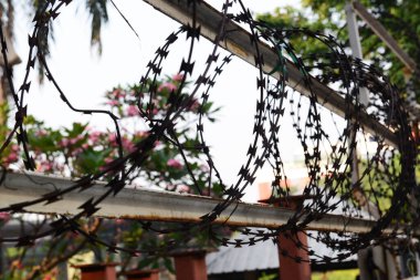 Ustura teli ya da dikenli bant, keskin kenarlı metal şeritler, demir parmaklıklara monte edilmiş, insanların izinsiz girmesini önlemek için kullanılır..